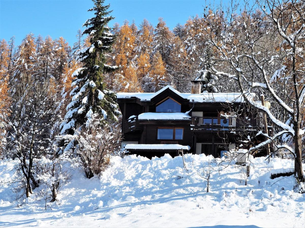 La Sauvagine Skis Aux Pieds Les Orres